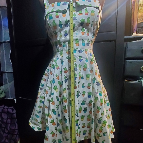 Dress cactus - Picture 12 of 12